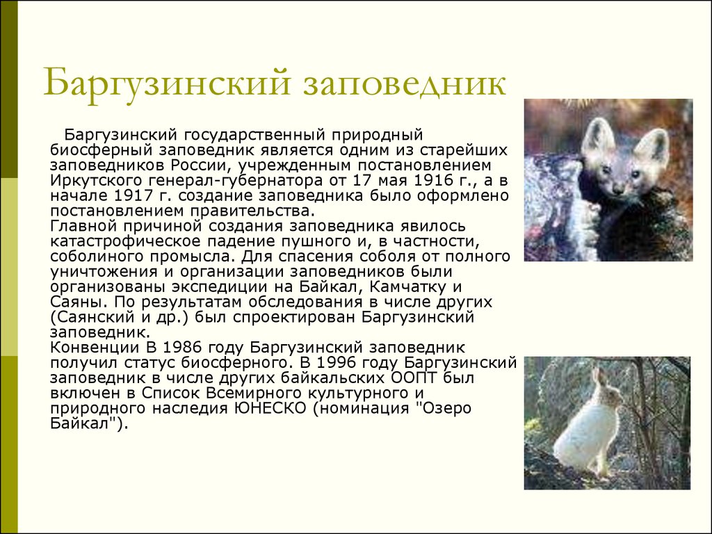 1 российский заповедник. Рассказ о заповеднике России 4 класс окружающий мир. Сообщение о заповеднике. Заповедники России доклад. Доклад о заповеднике.