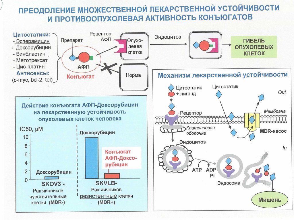 Механизм действия противоопухолевых препаратов. Механизм действия цитостатиков схема. Механизм действия противоопухолевых препаратов схема. Механизм действия платиносодержащих препаратов. Препараты платины механизм действия.