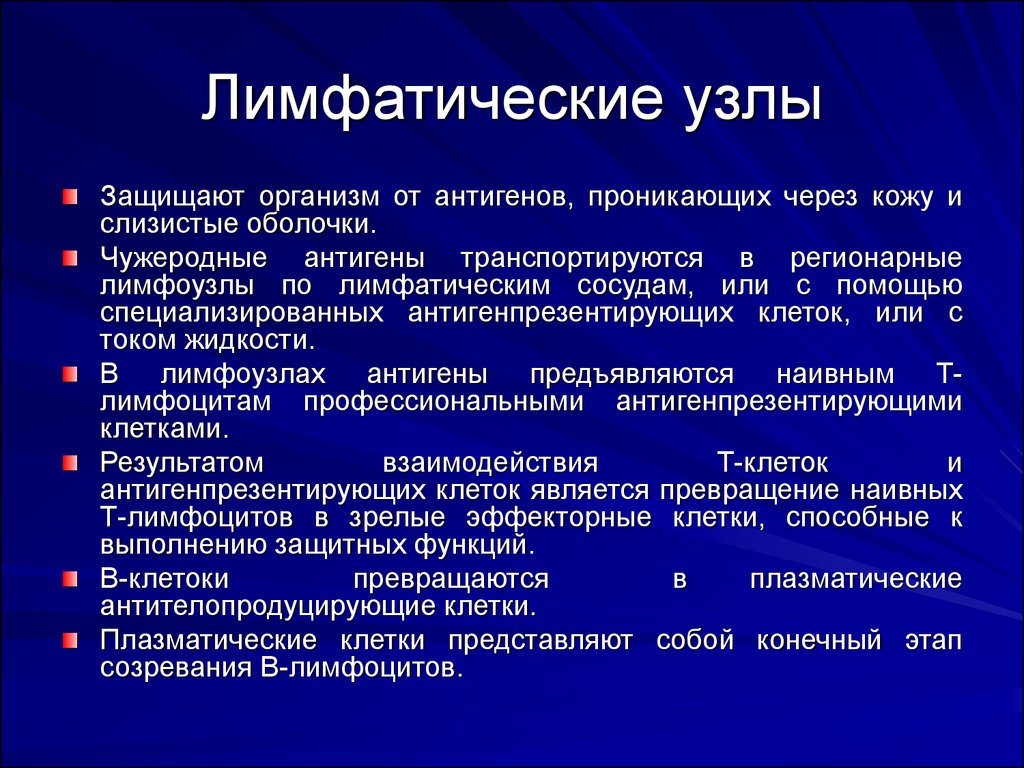 Метаболические лимфоузлы. Региональные лимфатические узлы. Визуализируются лимфоузлы это что. Регионарные лимфатические узлы не визуализируются что это. Регионарные лимфатические узлы.