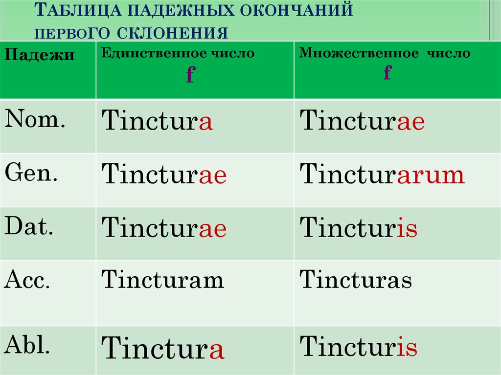 Множественное число слова клапан