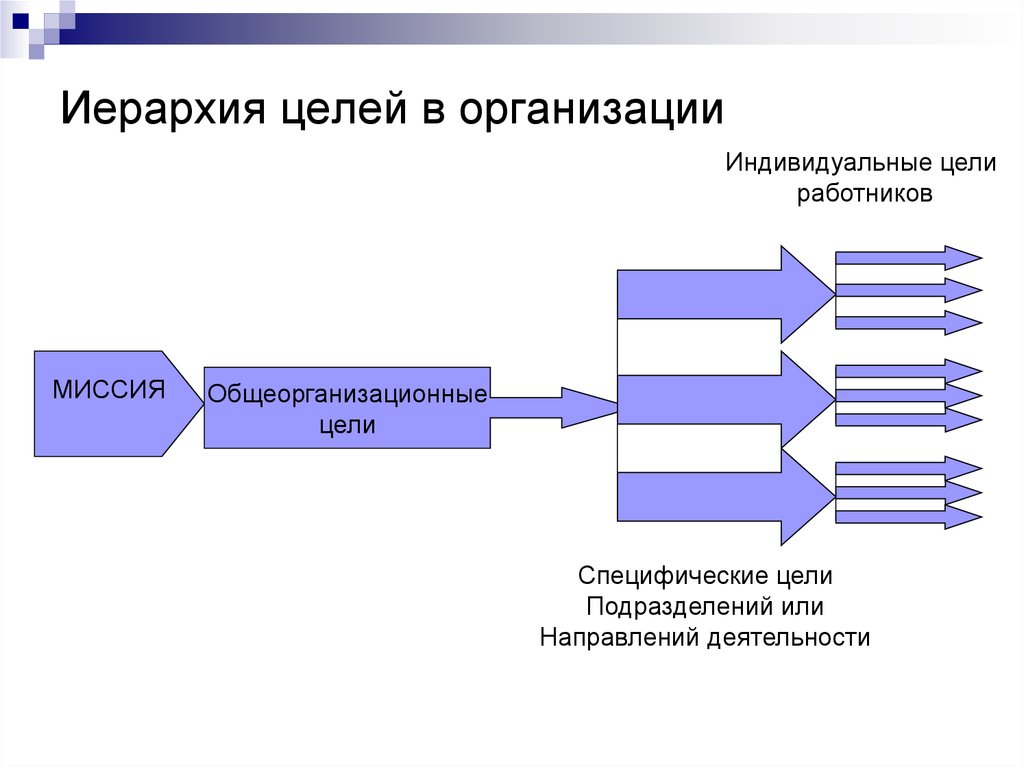 Цели организации ее функции