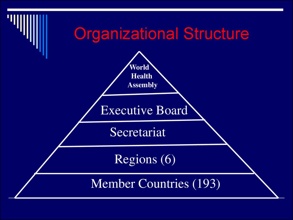 organization chart non pfrofit