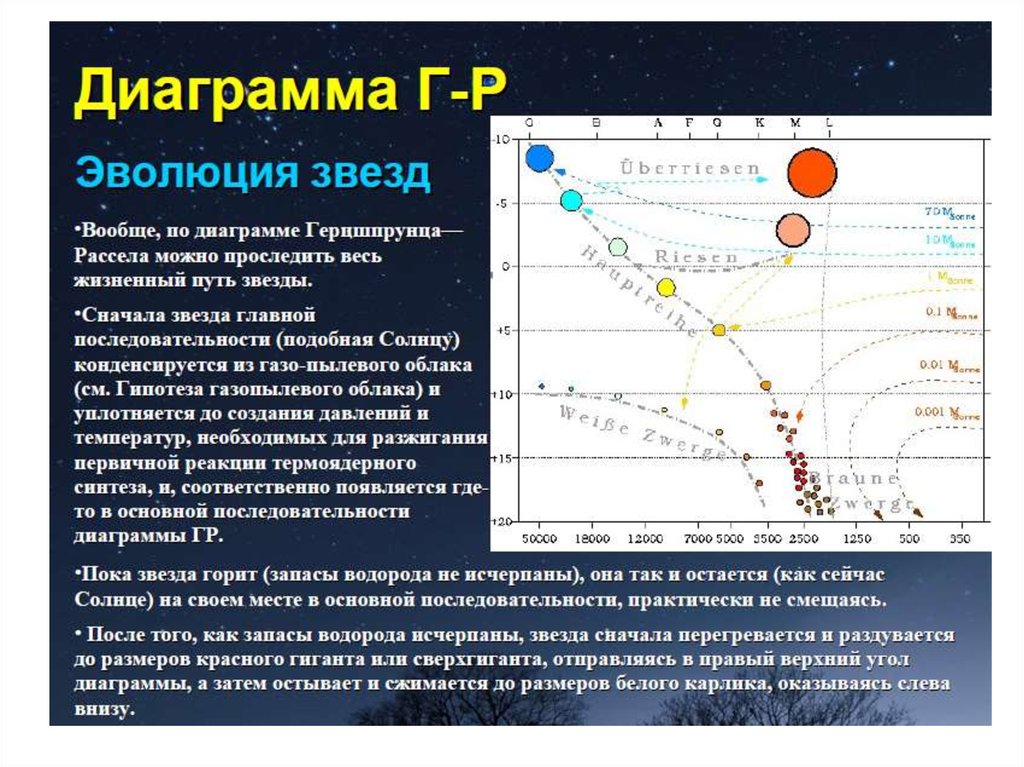 Диаграмма эволюции звезд. Размеры звезд. График эволюции типичной звезды. Температура и Размеры звезд.