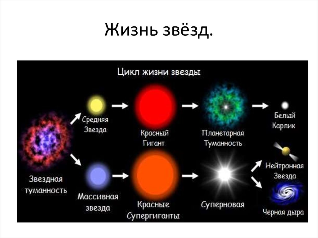 Путь жизни звезды. Этапы развития звезды. Жизненный цикл звезды схема. Жизненный цикл звезд схема астрономия. Этапы жизни звезды.