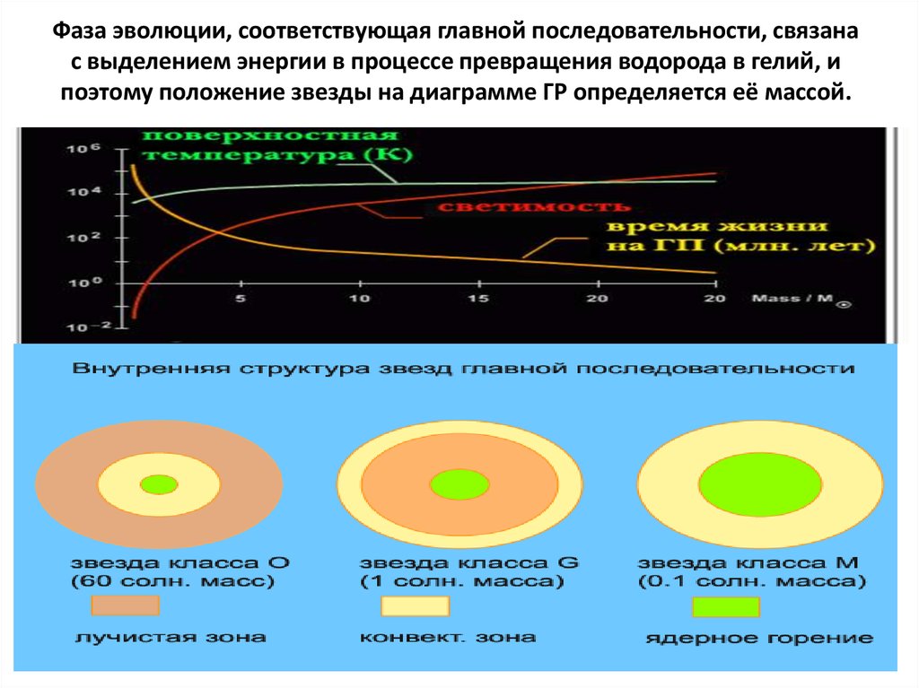 Видимый размер. Стадия главной последовательности звезд. Эволюция звезды главной последовательности. Структура звезд главное последовательности. Как устроены звезды главной последовательности.