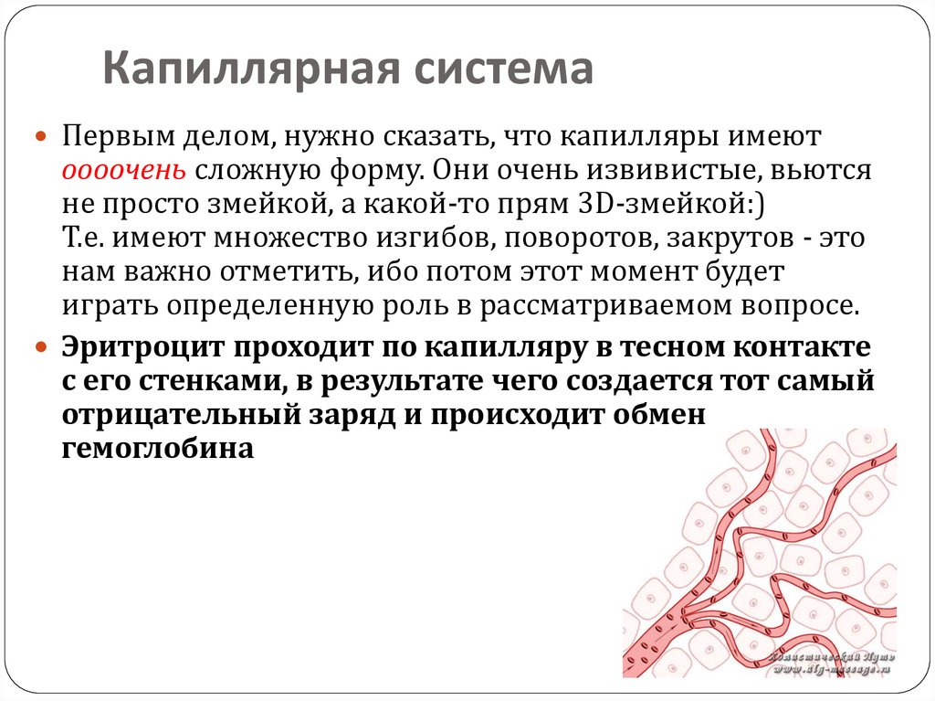 Капилляры система. Капилярнарная система. Капиллярные системы химия.