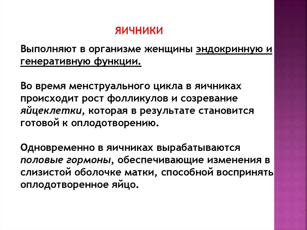 Что вырабатывают яичники. Яичники выполняют функции. Нейроэндокринная регуляция репродуктивной функции женщины. Какую функцию выполняет яичник. Функции женщины.