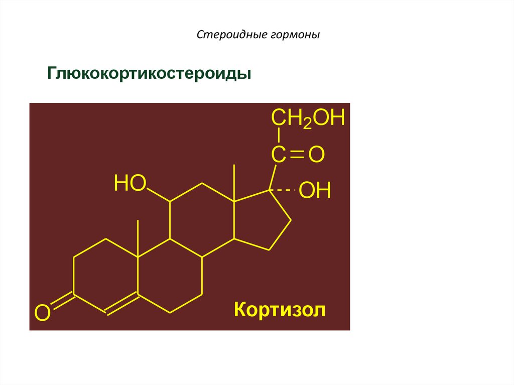 Стероидные гормоны картинки