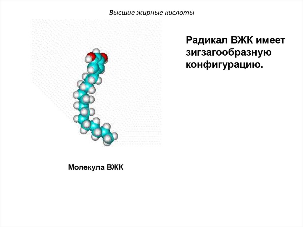 Высшие жирные кислоты. Строение высших жирных кислот. Структура свободных жирных кислот биохимия. Молекула жирной кислоты.