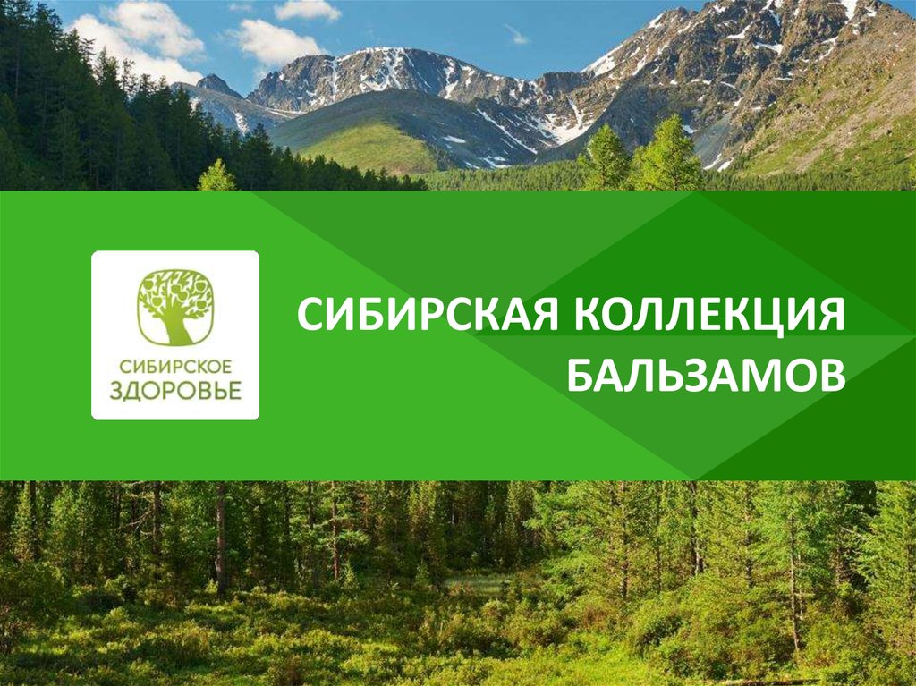 Презентация сибирского здоровья