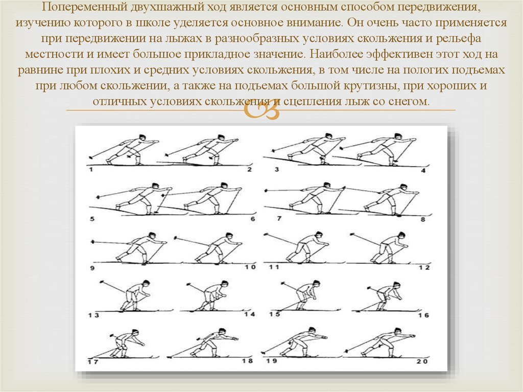 Попеременный двухшажный. Попеременный двухшажный ход. Основным способом передвижения на лыжах является скольжение. Двухшажный коньковый ход.