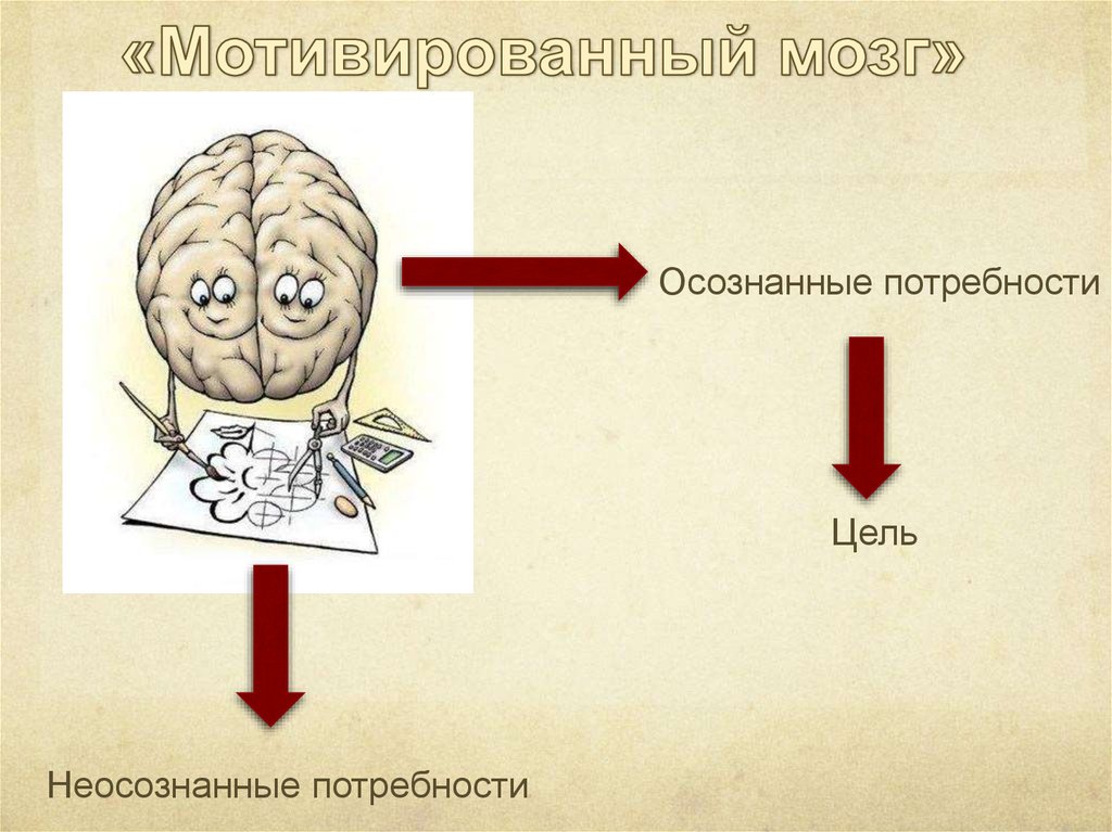 Осознанная потребность. Осознананная потребность. Неосознанные потребности. Мотивированный мозг. Осознанные и неосознанные потребности человека.