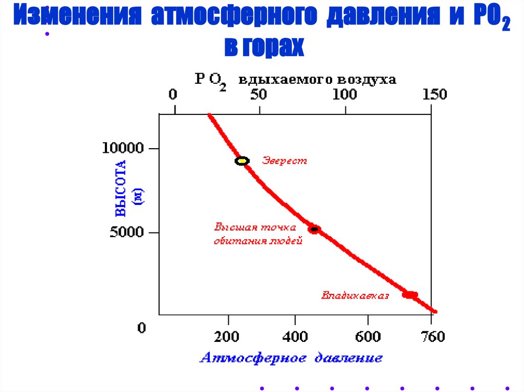 Дыхание при повышенном атмосферном давлении. Изменение барометрического давления. Изменение давления в горах. Давление атмосферы в горах. Изменения вентиляции легких при ВЫСОТНОЙ гипоксии.