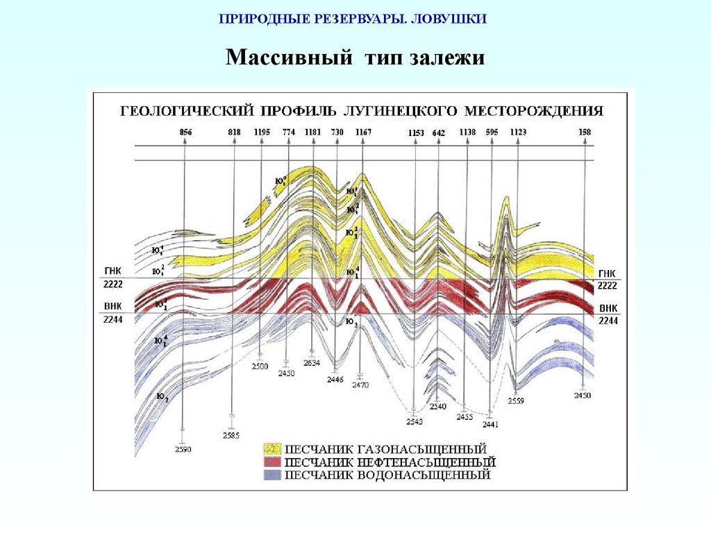 Характеристика месторождений. Геологический профиль Лугинецкого месторождения. Структурная карта Лугинецкого месторождения. Геологический профиль массивная залежь. Геологический профиль газовой залежи.