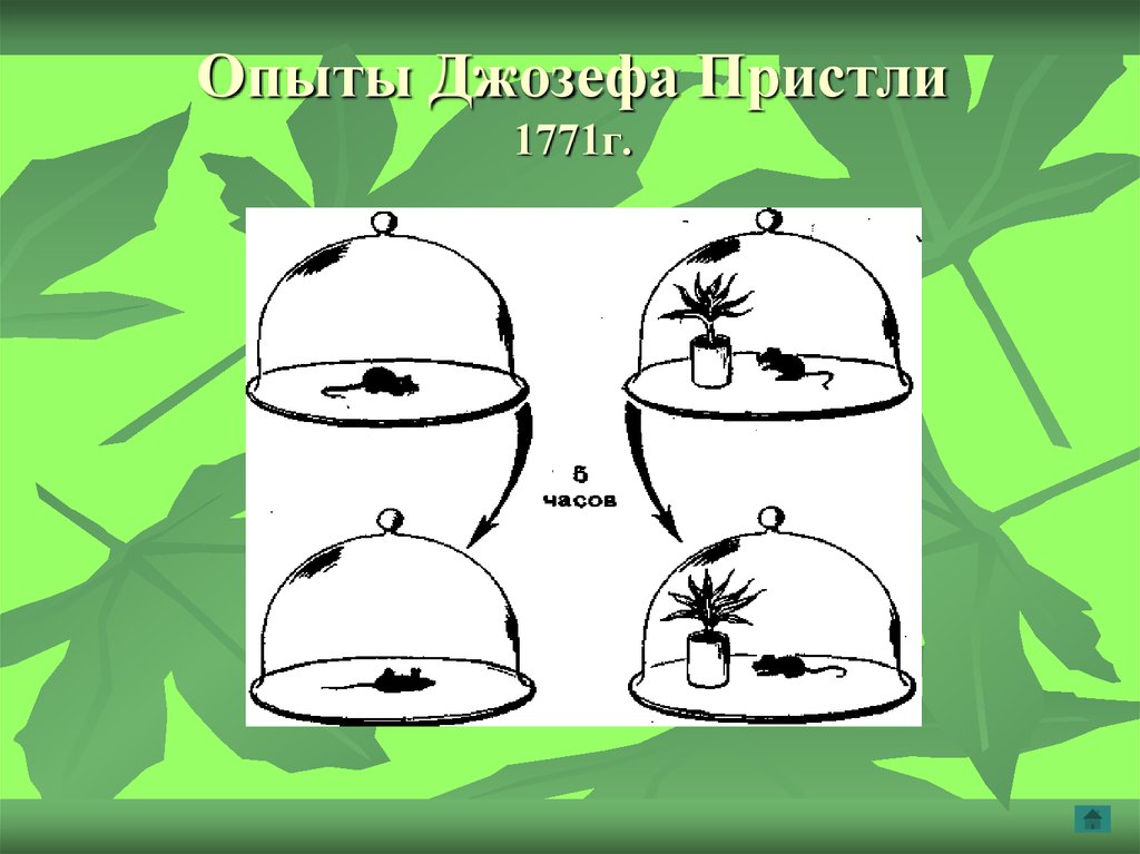 Опыт изображенный на рисунке был осуществлен английским химиком джозефом пристли в 1771 году