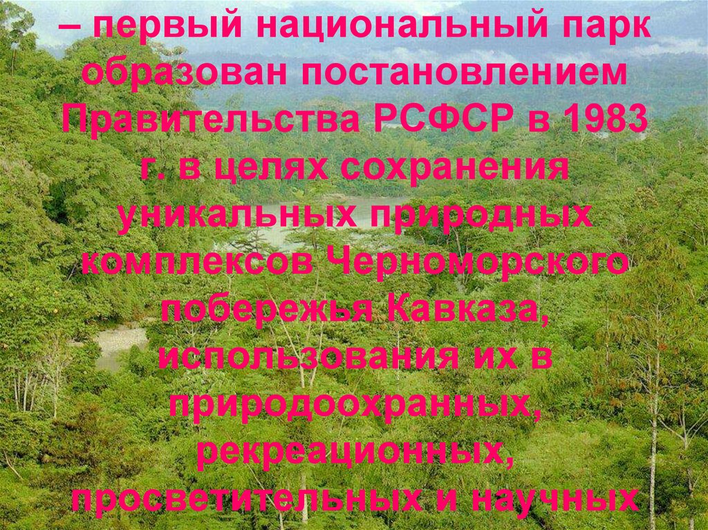 Парк сочинский 4 класс. Проект Сочинский национальный парк. Рассказ о национальном парке. Сочинский национальный парк презентация. Национальный парк Черноморского побережья Кавказа.