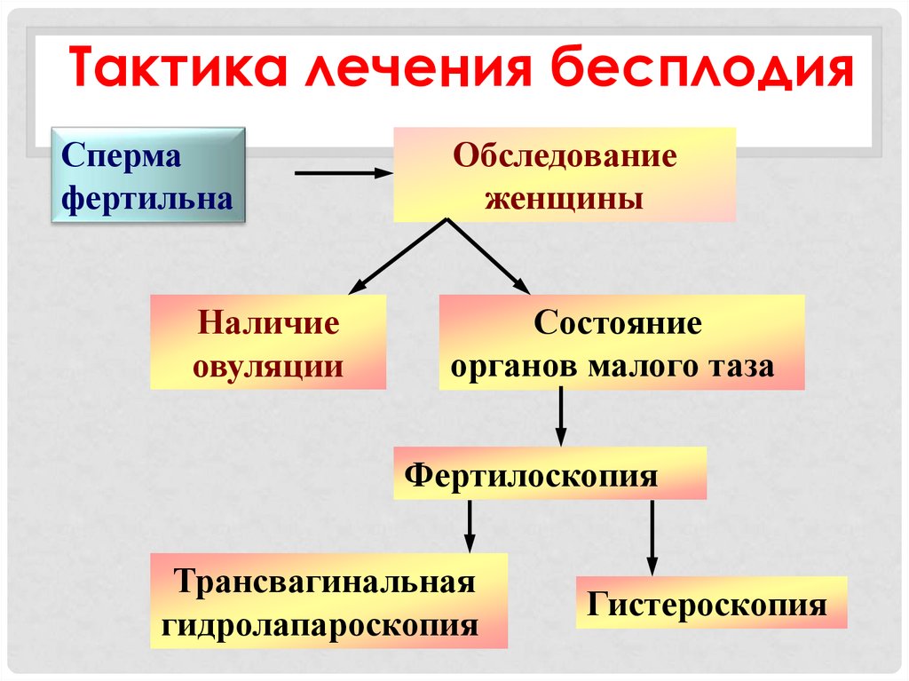 План обследования бесплодной пары