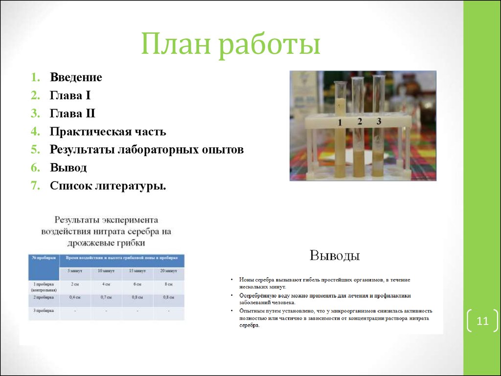 Вывод по результатам практической работы по технологии. Предварительный вывод в эксперименте. Фото Результаты практической части.