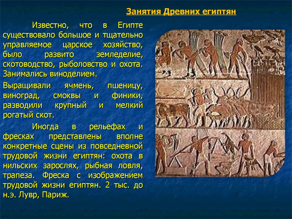 История 5 класс про египет. Занятия жителей древнего Египта. Занятия людей в древнем Египте. Занятия египтян в древнем Египте. Занятия в древнем Египте история 5.