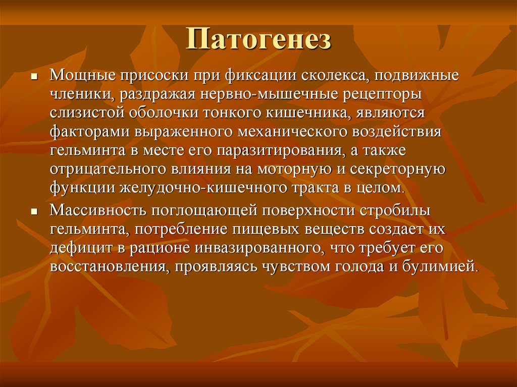 Способ заражения тениаринхозом. Тениаринхоз этиология. Тениаринхоз патогенез. Патогенез тениаринхоза. Тениаринхоз источник заражения.