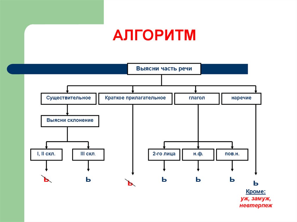 Части речи существительное прилагательное глагол. Алгоритм не с существительными. Алгоритм по русскому языку не с существительными. Алгоритм части речи. Алгоритм ь после шипящих.