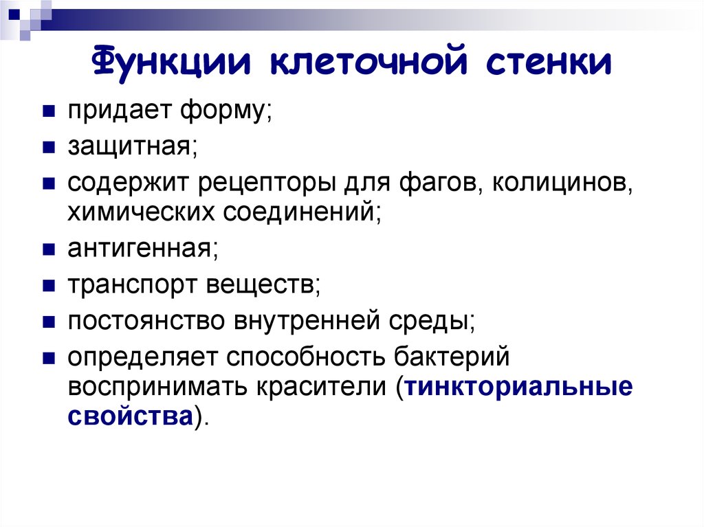 Роль клеточной. Функции строение и состав клеточной стенки. Клеточная стенка строение и функции. Функция клеточной стенки в растительной клетке кратко. Функции клеточной стенк.