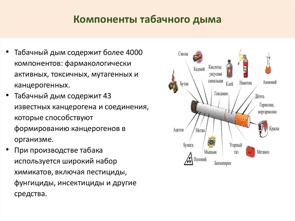 Что содержится в табачном дыме. Основные компоненты газовой фазы табачного дыма. Основные компоненты табачного дыма органические и неорганические. Какие компоненты содержит табачный дым. Мутагенные компоненты табачного дыма.