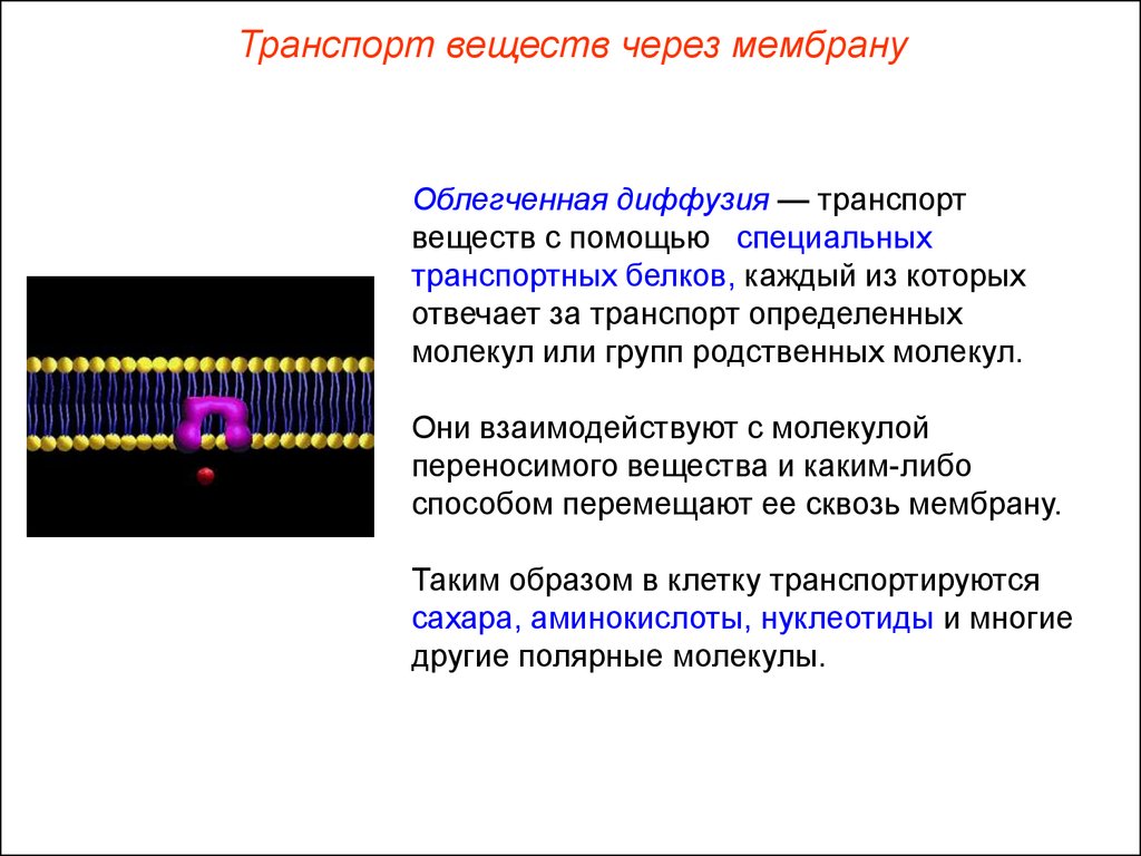 Облегченный транспорт веществ. Облегченная диффузия транспорт веществ. Облегченная диффузия веществ через мембрану. Диффузия через клеточную мембрану. Транспортные белки облегчённая диффузия.