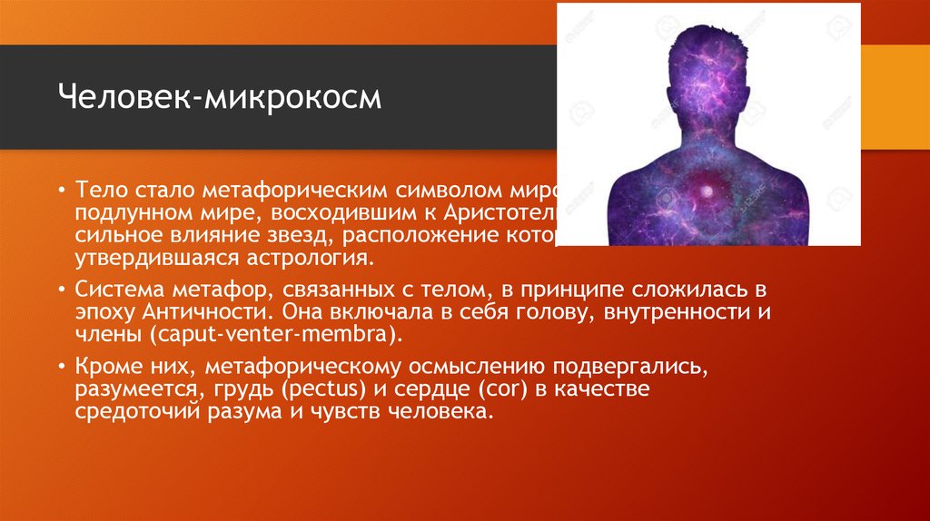 Человек-микрокосм