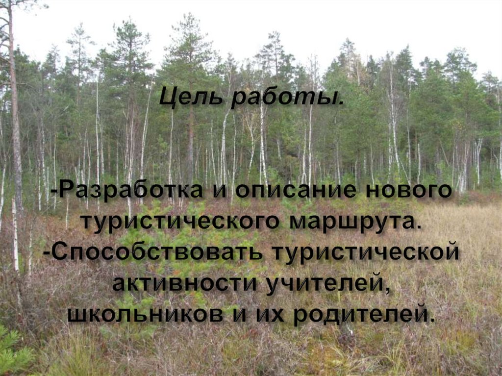 Описание последней. Цель туристического маршрута. Цель и идея для проекта по болоту.