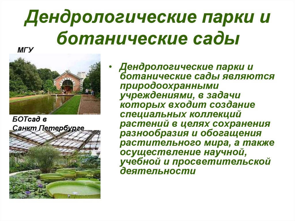 Краткое содержание сад. Дендрологические парки и Ботанические сады функции. Дендрологические парки и Ботанические сады разрешенная деятельность. Памятников природы, дендрологических парков и ботанических садов.. Дендрологические парки и Ботанические сады цели и задачи.