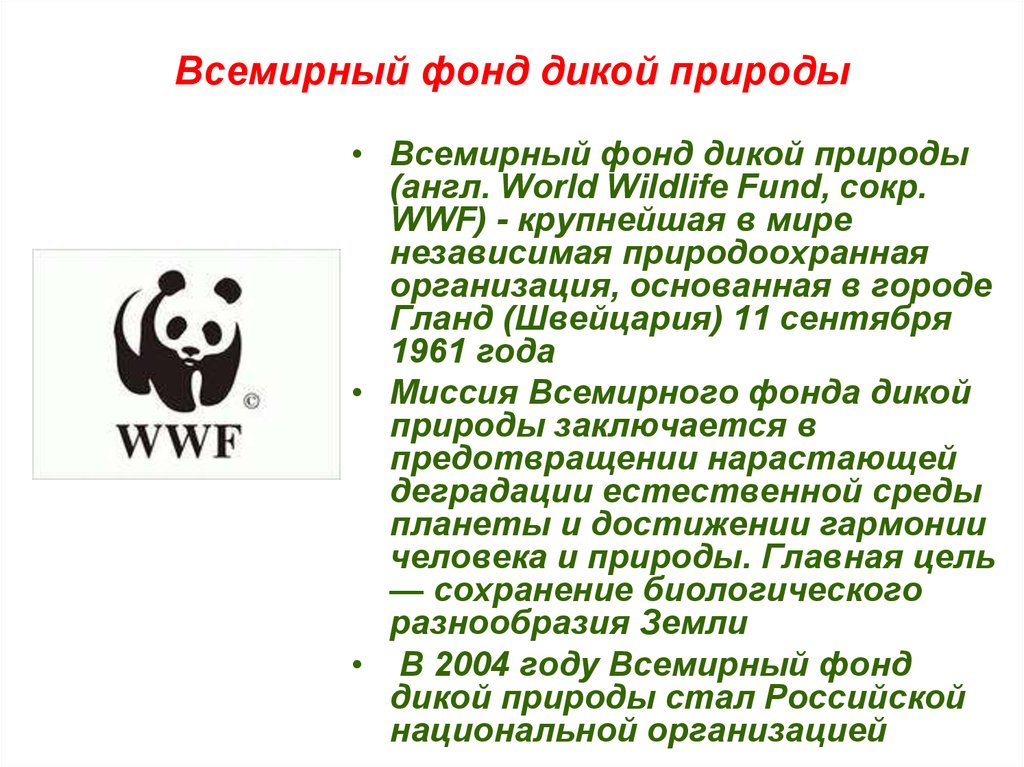 Доклад на тему фонд. Всемирный фонд дикой природы международные организации. Всемирный фонд дикой природы WWF России. Всемирный фонд дикой природы WWF сообщение. Сообщение о работе Всемирного фонда дикой природы в России.