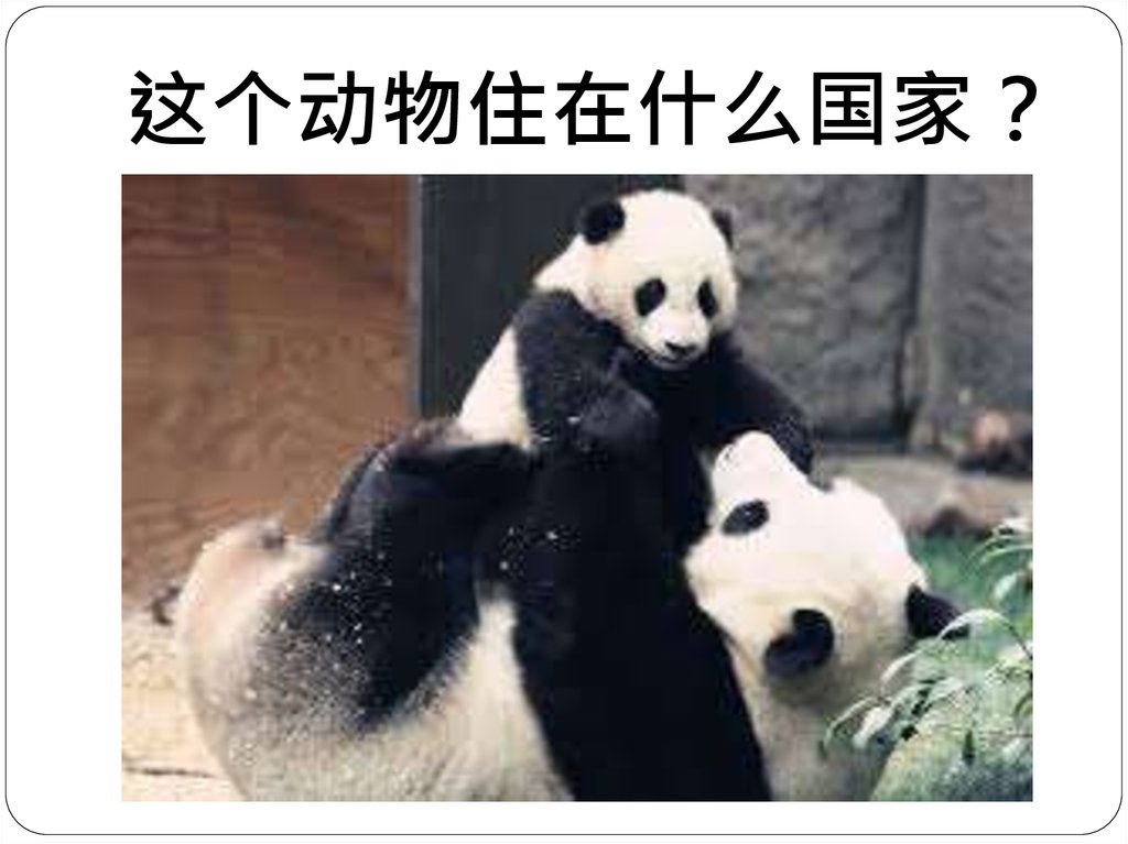 这个动物住在什么国家？