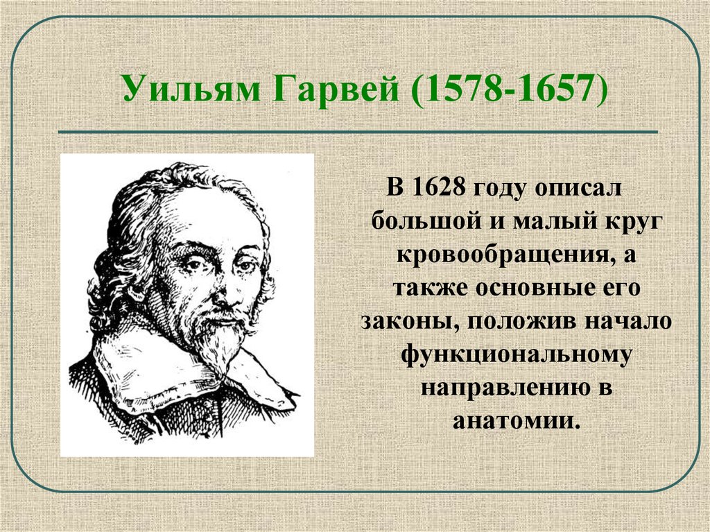 Уильям гарвей. Уильям Гарвей (1578-1657). Ученые биологи Уильям Гарвей. Уильям Гарвей (1578 – 1657 г.). Уильям Гарвей (1578-1657 гг.) - английский врач, физиолог:.