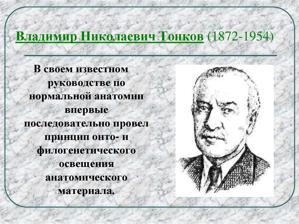 В м тонков