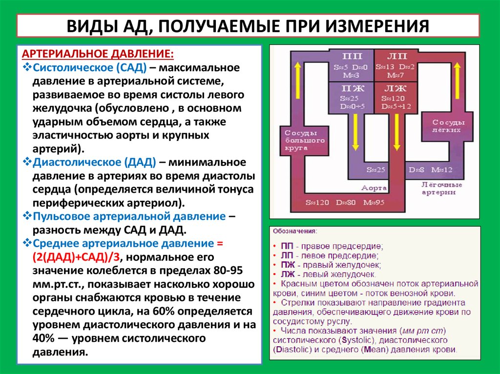 Виды давления. Виды артериального давления. Виды измерения ад. Артериальное давление . Его виды и величины. Способ определения систолического давления.