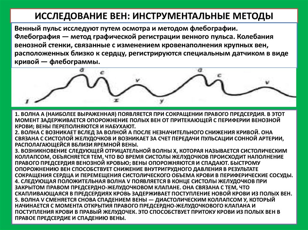 Исследование артерий