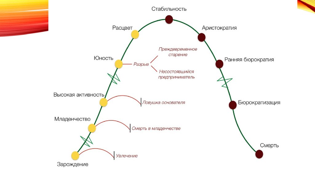 Руководство как заключительная фаза цикла производственного менеджмента