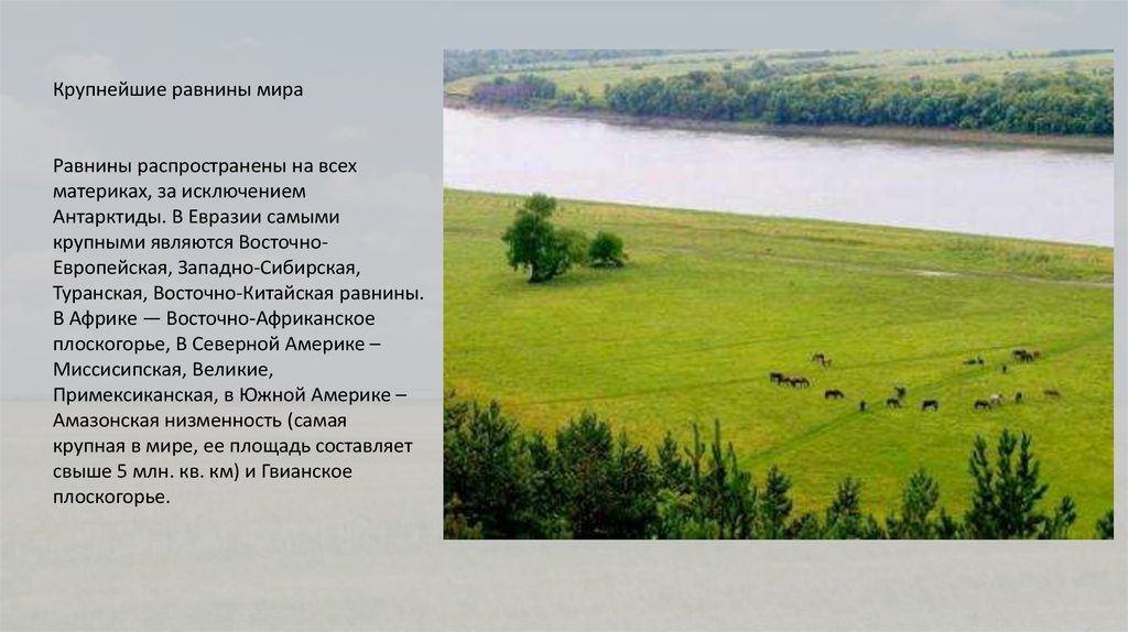 География великие равнины россии. Восточно-европейская равнина и Западно-Сибирская равнина. Крупнейшая низменность планеты. Самая крупная низменность в мире.
