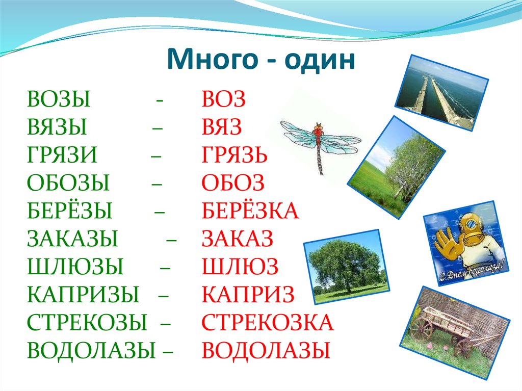 Слова с корнем воз. Слова с корнем вяз и воз. Слова словом вяз. Однокоренные слова воз и вяз.