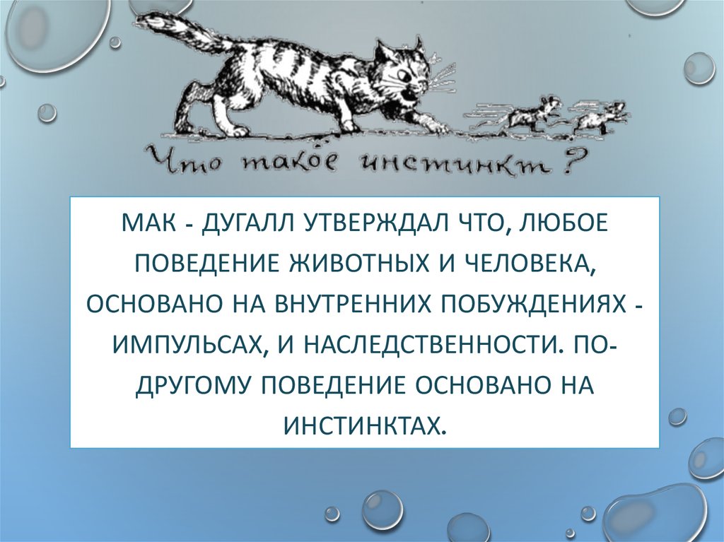 3 социальное поведение у животных вымысел или реальность презентация