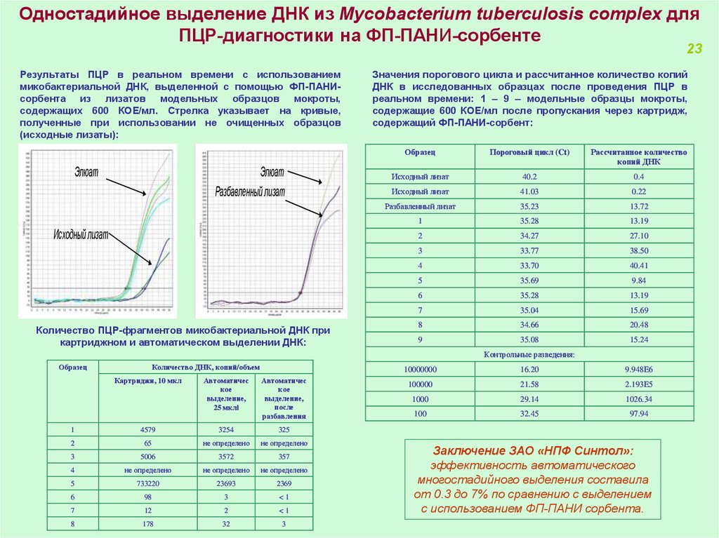 Выделение днк пцр