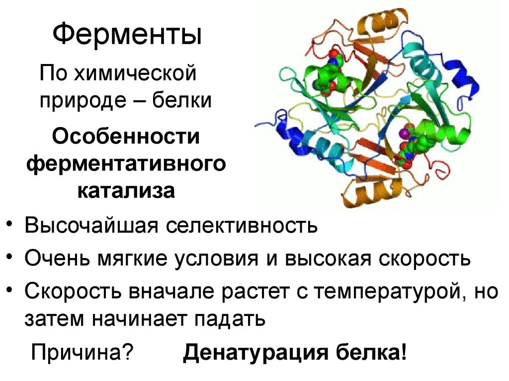 Классы белков ферментов. Ферменты. Химическая природа ферментов. Химическая структура ферментов. Ферменты это.