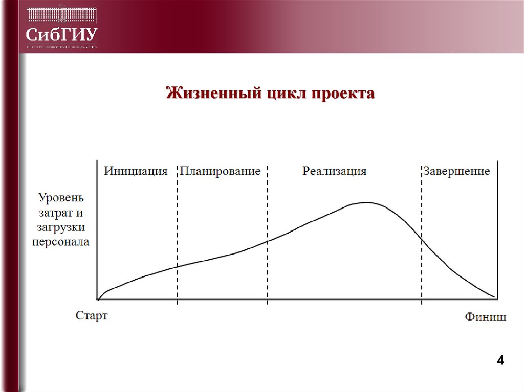 Жизненный цикл проекта курсовая