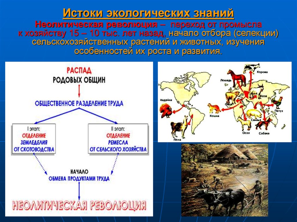 Изменения в управлении неолитическая революция. Неолитическая революция в экологии. Исторический процесс неолитическая революция. У истоков государственности неолитической революции.