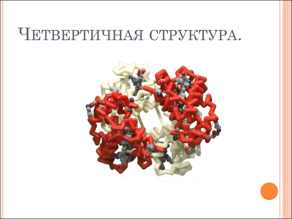 Четвертичные белки. Четвертичная структура. Четвертичная структура белка. Четвертичная структура белка рисунок. Четвертичная структура белка картинка.