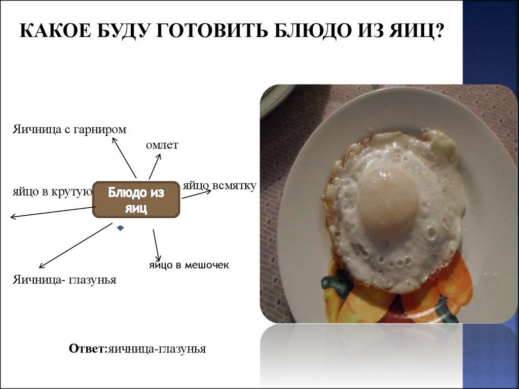 Омлет проект по технологии