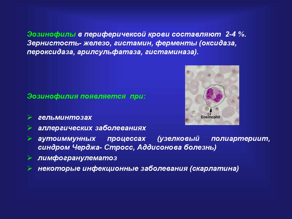 Эозинофилы функции гистология. Морфология эозинофилов в крови. Эозинофилы в крови 9