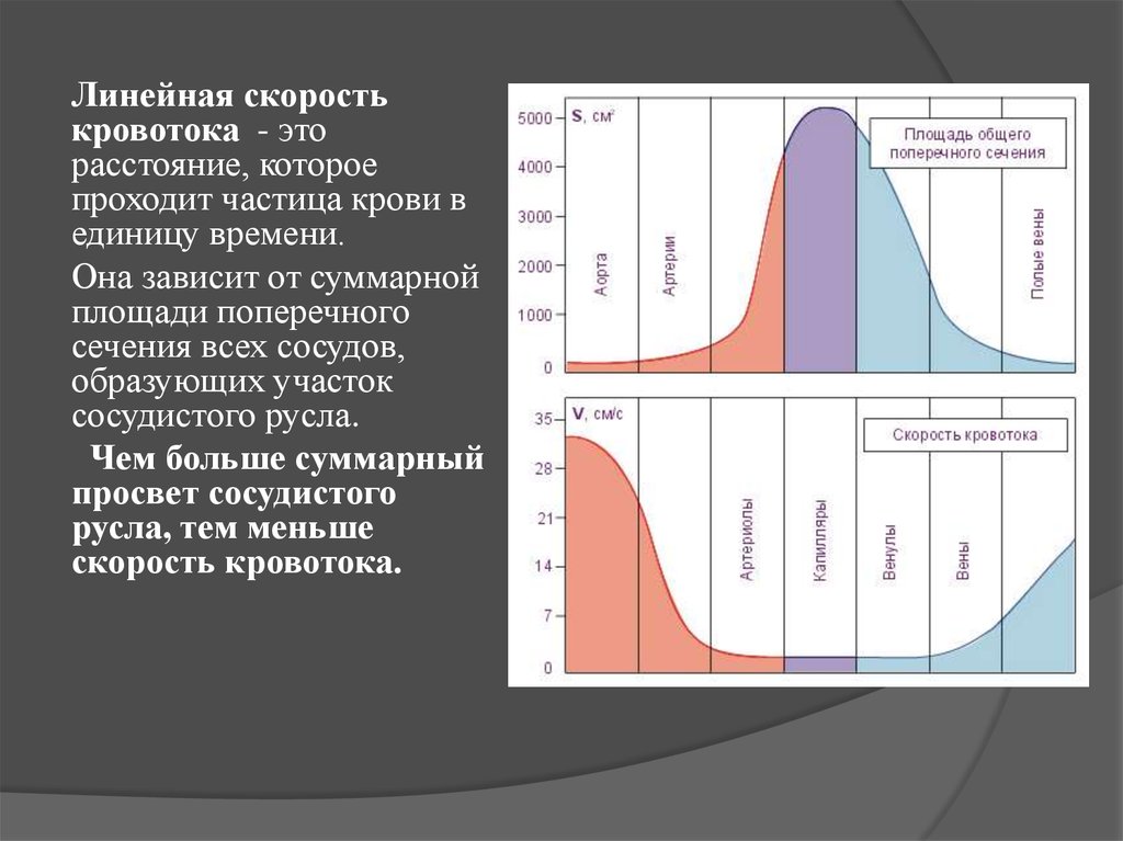 Скорость изменяется линейно