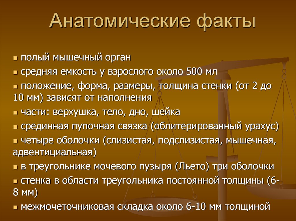 Интересные факты анатомия. Анатомия факты. Интересные анатомические факты. Факты о анатомии человека. Интересные факты по анатомии.